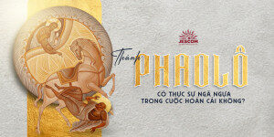 Thánh Phaolô có thực sự ngã ngựa trong cuộc hoán cải không? Thánh Phaolô có thực sự ngã ngựa trong cuộc hoán cải không?