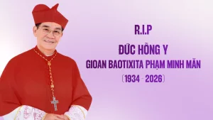 Đức Hồng Y Gioan Baotixita Phạm Minh Mẫn đã về với Chúa Đức Hồng Y Gioan Baotixita Phạm Minh Mẫn đã về với Chúa